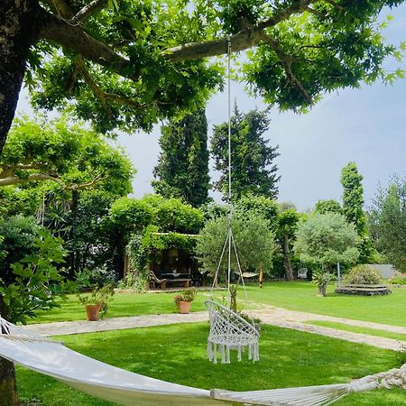 Kipos-Ss Residences Dassia  Dış mekan fotoğraf