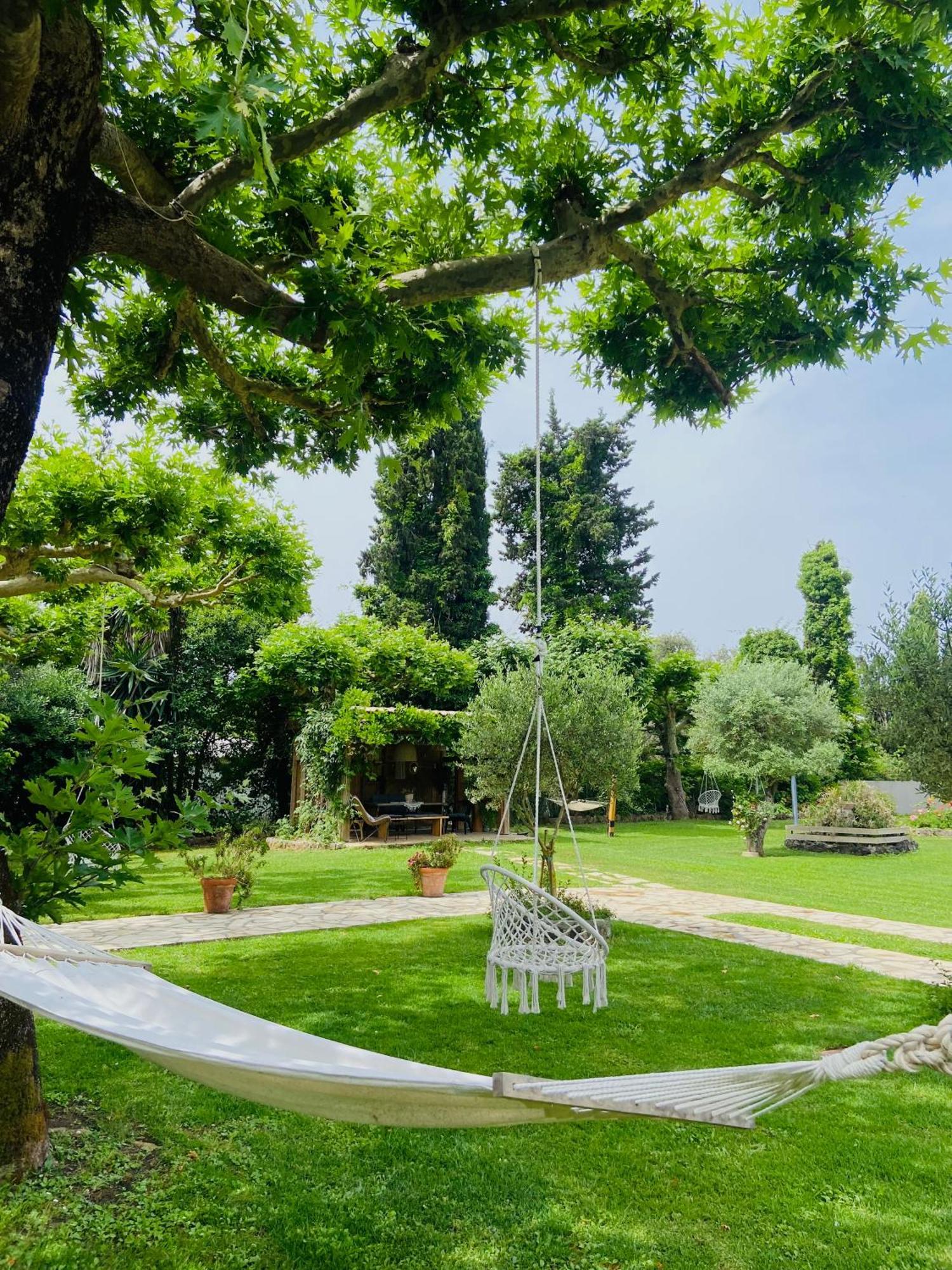 Kipos-Ss Residences Dassia  Dış mekan fotoğraf